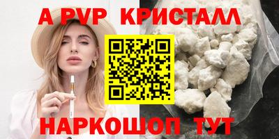 прущие грибы Нальчик