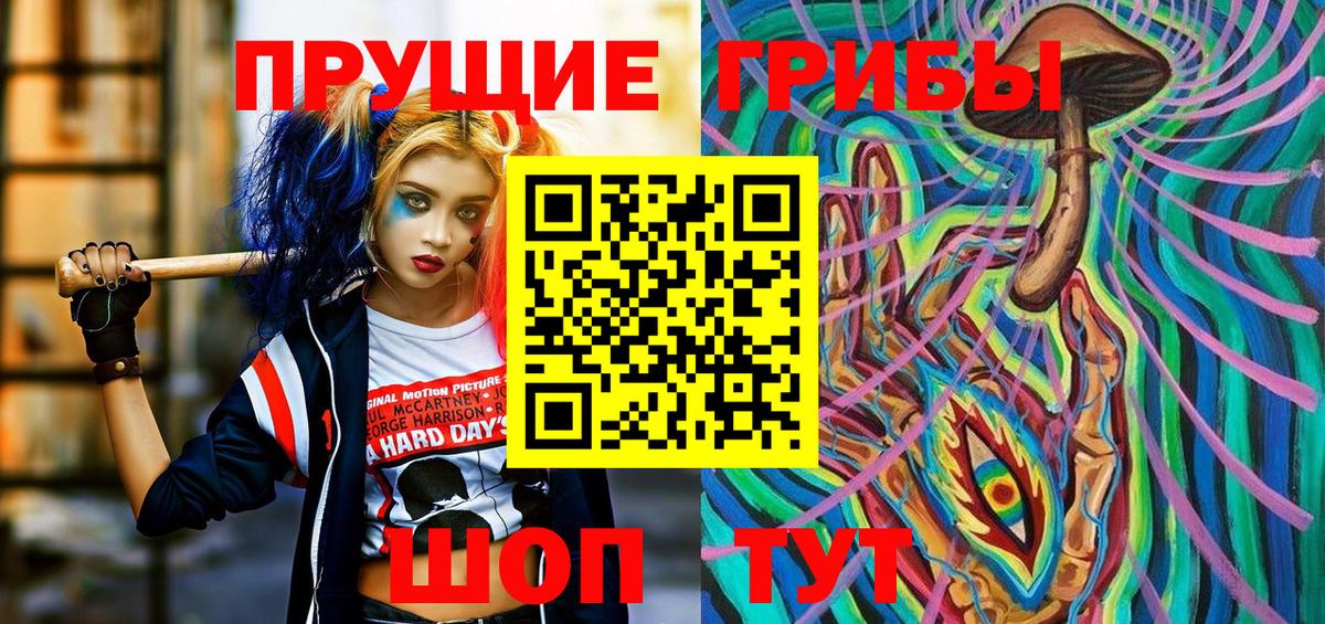 Псилоцибиновые грибы GOLDEN TEACHER Северск